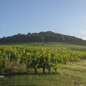 La Maison Du Vigneron Ternand